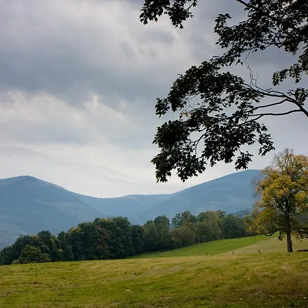 Pod Sniezka Appartement *