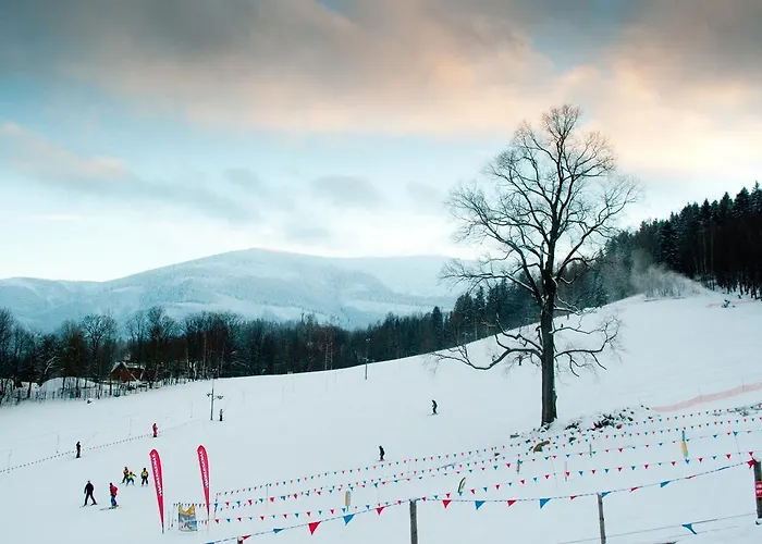 Apartment Pod Sniezka *